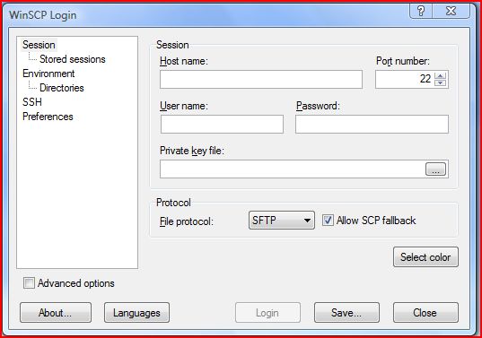 WinSCP up and running