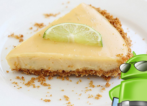 http://www.ijailbreak.com/wp-content/uploads/2012/03/android-key-lime-pie.jpg