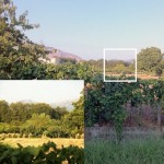 8x-zoom-lens-for-iphone