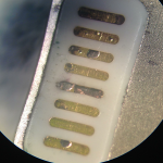 lightningcablecorrosion-2