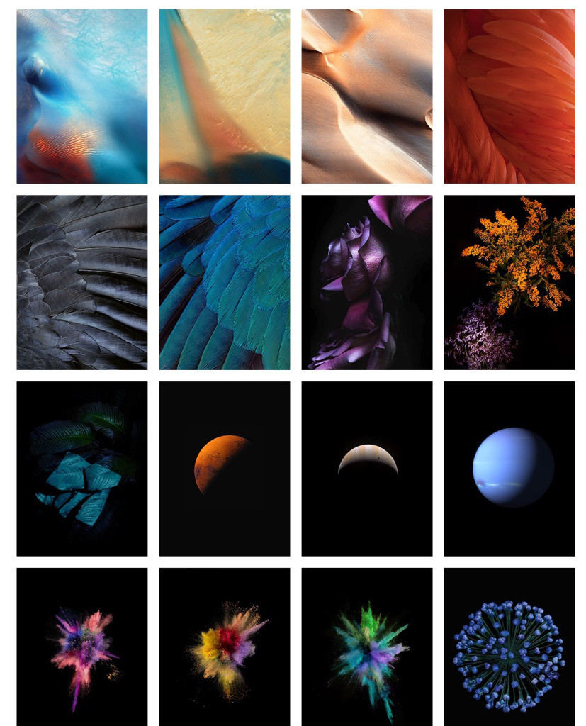 Here Are The New iOS 9 Beta 5 Wallpapers For Download